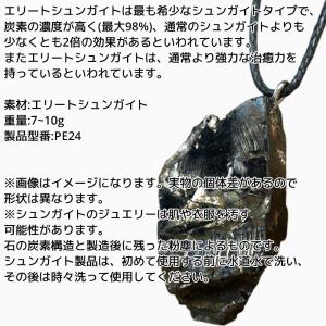 エリートシュンガイト ペンダント 7~10g ...の詳細画像1