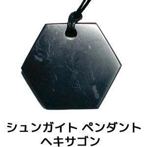 シュンガイト ペンダント ダブルホーン PE159 ネックレス ロシア