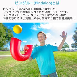 Pindaloo ピンダルー 集中力アップ や...の詳細画像1