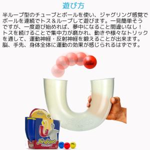 Pindaloo ピンダルー 集中力アップ や...の詳細画像2