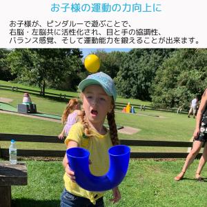 Pindaloo ピンダルー 集中力アップ や...の詳細画像4