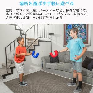 Pindaloo ピンダルー 集中力アップ や...の詳細画像5