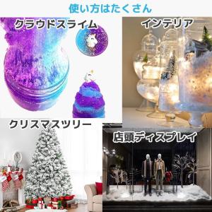 SnoWonder スノーパウダー 4リットル...の詳細画像4