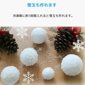 SnoWonder スノーパウダー 4リットル...の詳細画像5