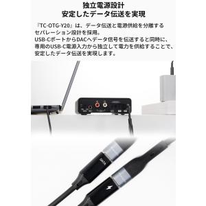 【正規品】 TOPPING トッピング TC-...の詳細画像1
