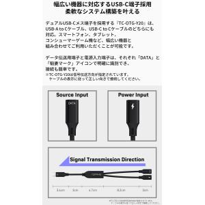 【正規品】 TOPPING トッピング TC-...の詳細画像2