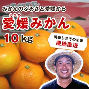 Ami　甘平　家庭用　10kg 愛媛産 家庭用 甘平10kg - きなはいやインターネット店