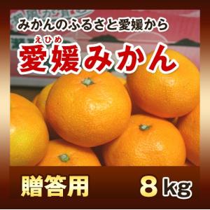 みかんの絵の商品一覧 通販 Yahoo ショッピング