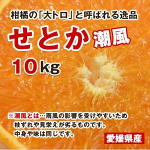 せとかみかん訳あり農家のまかないせとか5キロ（傷少黒点、サイズ