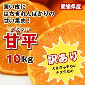 極旨】甘平（かんぺい）お得用10kg（愛媛県大三島産） : 俺のみかん