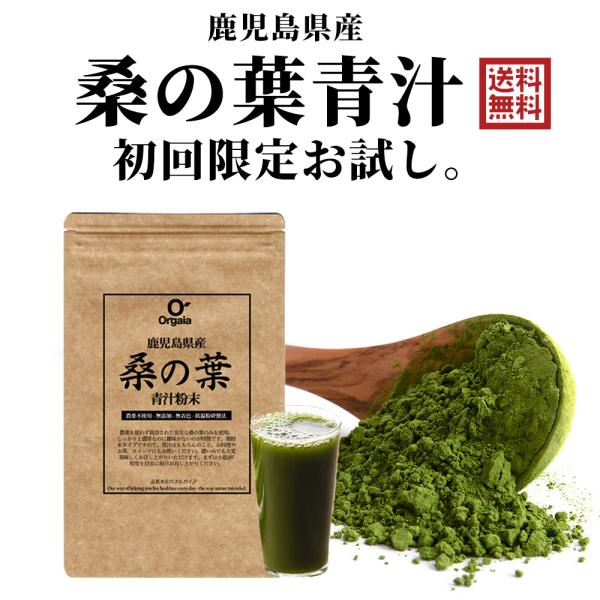 初回お試し 鹿児島県産 桑の葉青汁 桑の葉茶 桑茶粉末 120g（約40日分）国産 有機 桑の葉パウ...