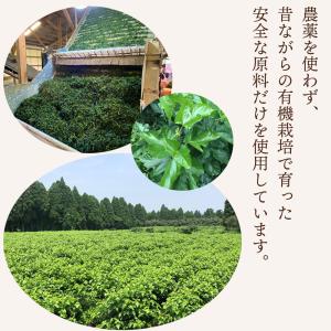 鹿児島県産 桑の葉青汁 桑の葉茶 桑茶粉末 1...の詳細画像3