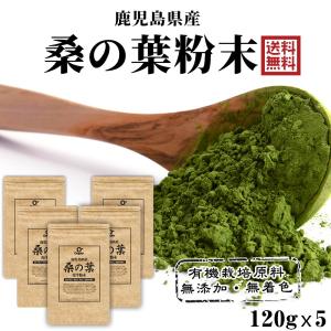 鹿児島県産 桑の葉青汁 桑の葉茶　桑茶粉末 600g（120gｘ5袋）国産 有機 桑の葉パウダー 無添加・無着色 オーガニック まとめ買い｜オルガイアYahoo!店