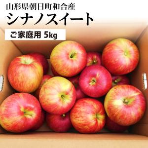山形県 りんご シナノスイート 和合りんご 訳あり 家庭用 5kg 朝日町 10月中旬~順次発送