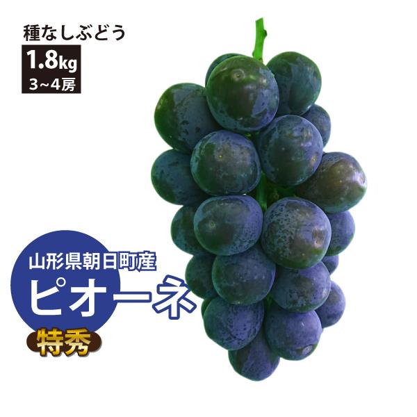 山形県 ぶどう ピオーネ 特秀品 約1.8kg 3〜4房 朝日町 減農薬 9月中旬〜順次発送