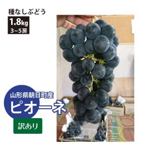 山形県 ぶどう ピオーネ 訳あり 約1.8kg 3〜5房 朝日町 減農薬 9月中旬〜順次発送