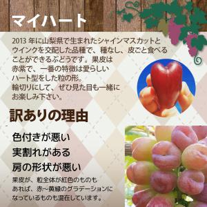 山形県 ぶどう マイハート 訳あり 約1.2k...の詳細画像4