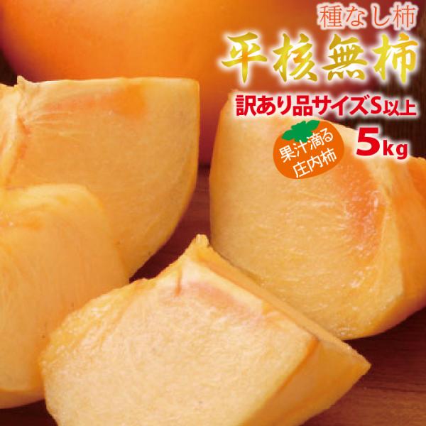 山形県 柿 平核無柿 訳あり 庄内産 5kg Sサイズ以上 10月中旬〜順次発送