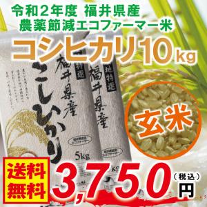 【sale】コシヒカリ 10kg (5kg×2) 送料無料 玄米 令和2年度 福井県産 農薬節減栽培 真空パック 福井県認定エコファーマー