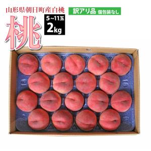 白桃 もも 山形県 朝日町産 訳あり 5〜11玉 2kg 8月上旬〜順次発送