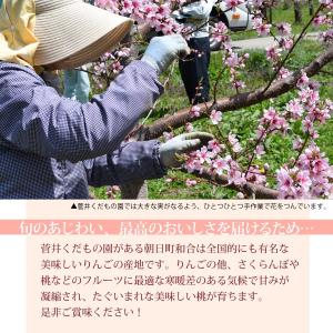 白桃 もも 山形県 朝日町産 訳あり 5〜11...の詳細画像1