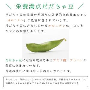 だだちゃ豆 有機栽培 1kg(500×2) 山...の詳細画像2