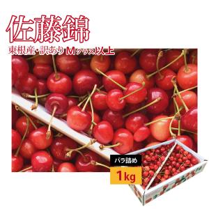 さくらんぼ 佐藤錦 訳あり 冷蔵便 バラ詰め Mクラス以上