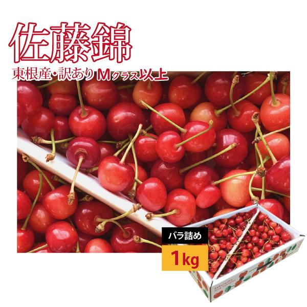 さくらんぼ 佐藤錦 訳あり 冷蔵便 バラ詰め Mクラス以上 1kg 山形県 東根市産 6月中旬〜6月...