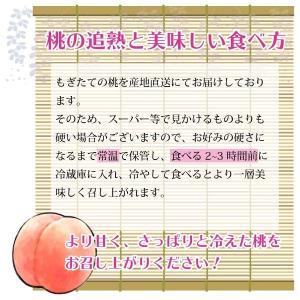 白桃 もも 秀品 3kg 12〜15玉 クール...の詳細画像2