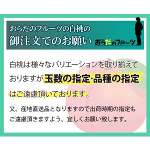 白桃 もも 秀品 3kg 12〜15玉 クール...の詳細画像4