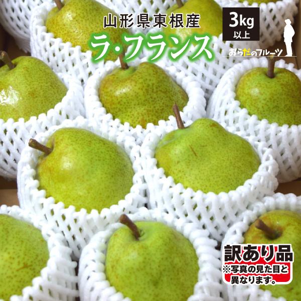 山形県 ラ・フランス 訳あり Mサイズ以上 3kg 玉数おまかせ 東根市 2024年10月下旬〜順次...