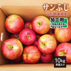 りんご サンふじ 加工用 10kg