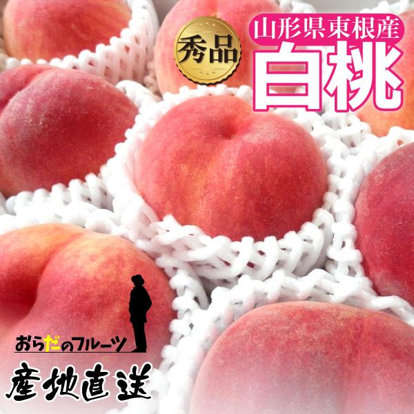 白桃 もも 秀品 2kg 5〜7玉 クール便 品種おまかせ 山形県 東根市産 8月上旬〜9月中旬 順...