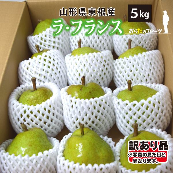 山形県 ラ・フランス 訳あり Mサイズ以上 5kg 玉数おまかせ 東根市 2024年10月下旬〜順次...