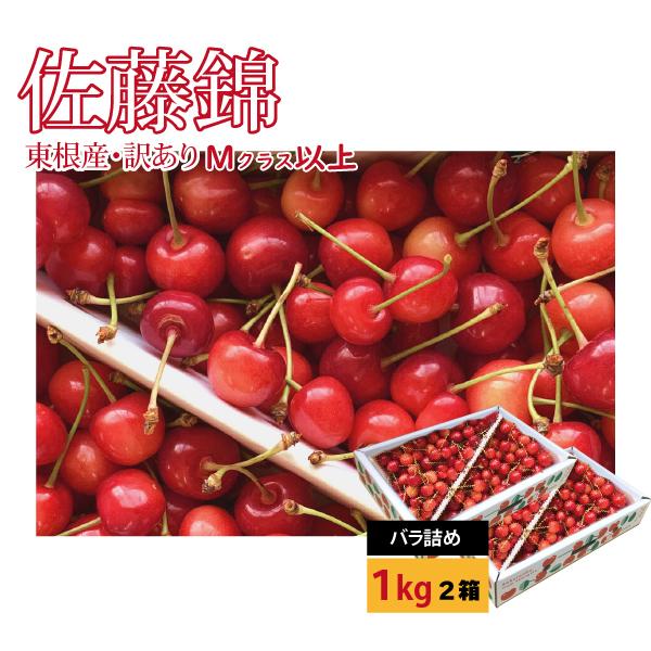 さくらんぼ 佐藤錦 訳あり バラ詰め Mクラス以上 1kg×2箱 山形県 東根市産 6月中旬〜6月下...