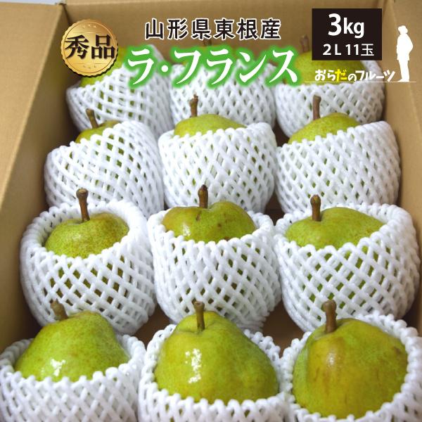 山形県 ラ・フランス 秀品 3L〜4L 3kg 8玉〜10玉 東根市 10月下旬〜順次発送