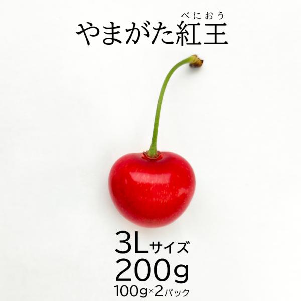 さくらんぼ やまがた紅王 秀品 3Lサイズ 200g 山形県 東根市産 6月下旬 順次発送