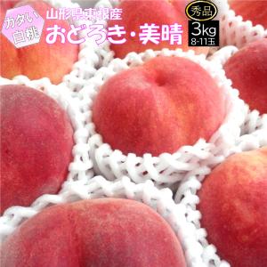 白桃 もも 硬い桃 おどろき 美晴白桃 秀品 3kg 8〜11玉 クール便 山形県 東根市産 8月下旬〜9月中旬 順次発送