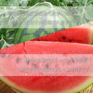 (有)あべ農園 山形県 尾花沢スイカ 秀品 L...の詳細画像2