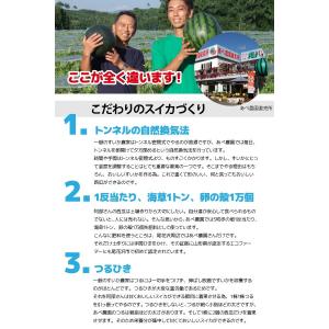 (有)あべ農園 山形県 尾花沢スイカ 秀品 2...の詳細画像1