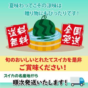 (有)あべ農園 山形県 尾花沢スイカ 秀品 2...の詳細画像3
