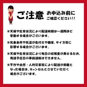 (有)あべ農園 山形県 尾花沢スイカ 秀品 2...の詳細画像5