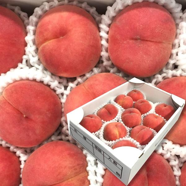 山形県 もも 白桃 訳あり 3kg 8〜14玉 自社栽培 8月上旬〜順次発送