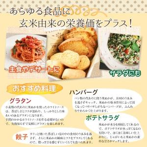 ハイブレフ 200g 三和油脂 玄米生まれの自...の詳細画像3