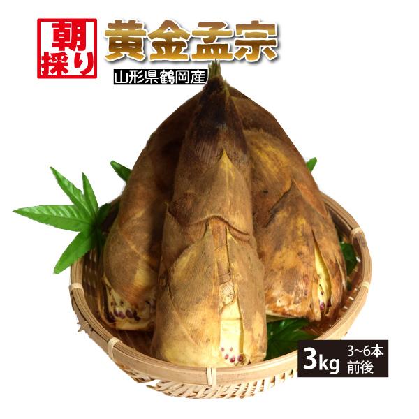【予約】朝採りたけのこ 黄金孟宗 山形県鶴岡市産 3kg(3〜6本) 無農薬 生筍 冷蔵(クール)便...