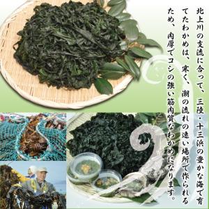 茎わかめ 250g マルイチ西條水産 宮城県十三浜産の詳細画像1