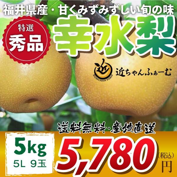 福井県 なし 梨 和梨 幸水 特選秀品 ギフト 贈答用 5L 5kg 9玉 8月下旬〜順次発送