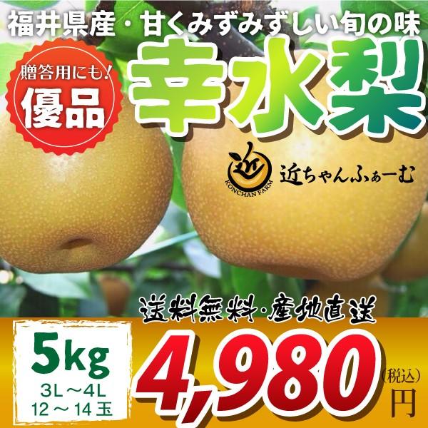 福井県 なし 梨 和梨 幸水 優品 3L〜4L 5kg 12〜14玉 8月下旬〜順次発送