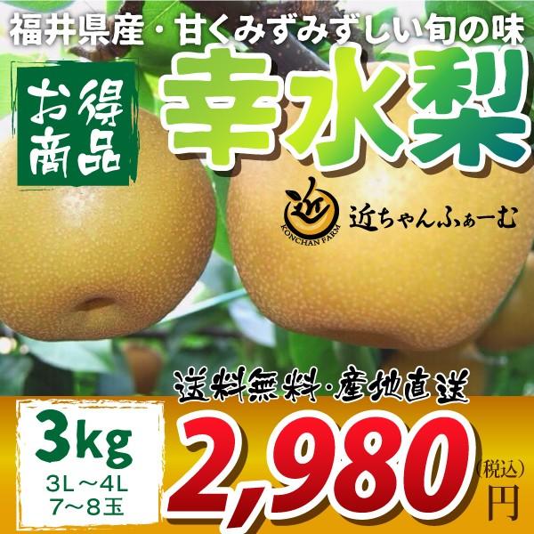 福井県 なし 梨 和梨 幸水 お買得品 3L〜4L 3kg 7〜8玉 8月下旬〜順次発送