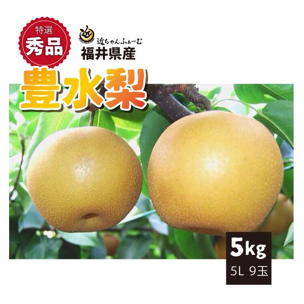 福井県 なし 梨 和梨 豊水 特選秀品 ギフト 贈答用 5L 5kg 9玉 9月上旬〜順次発送